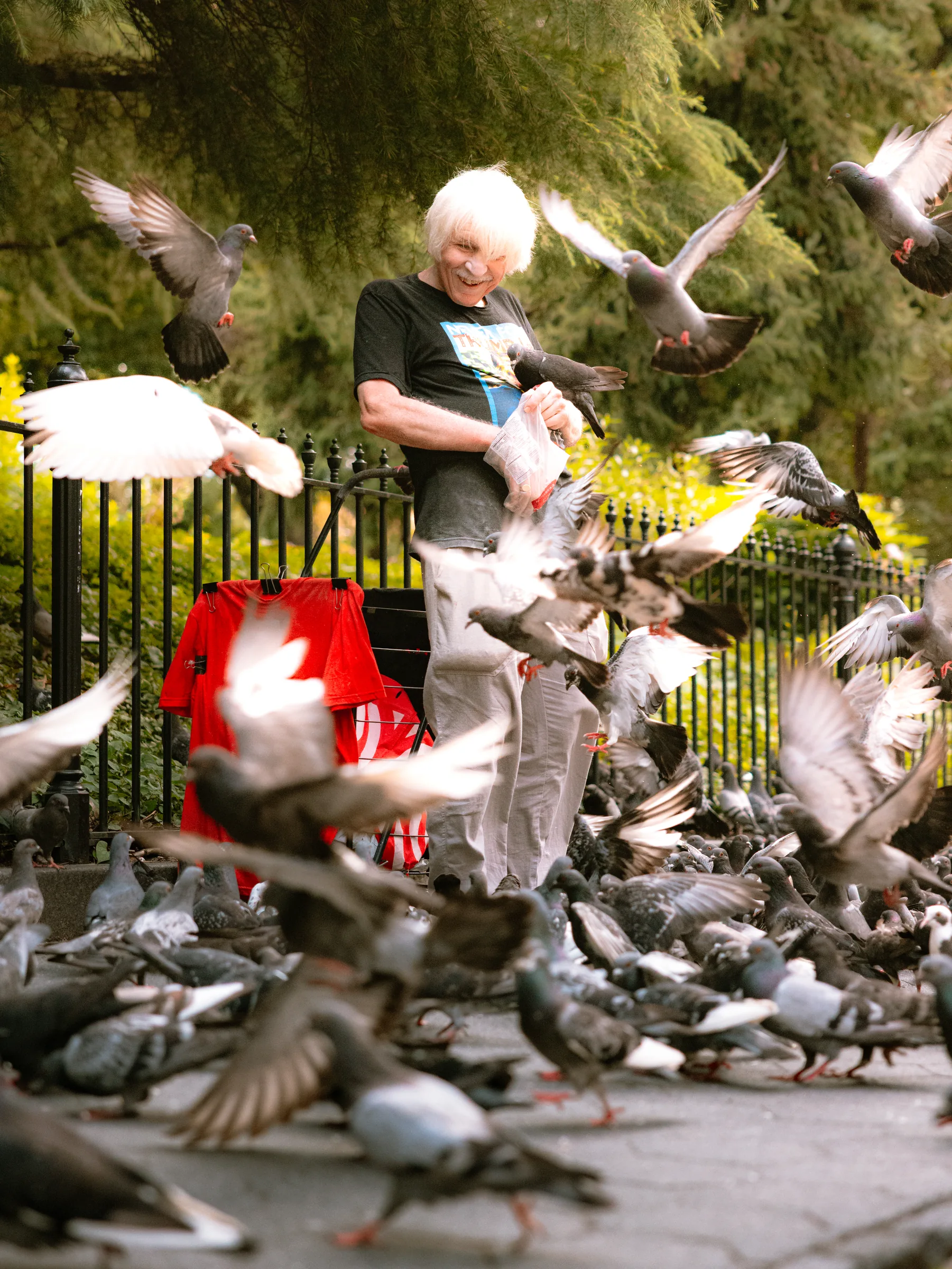A white-haired man smiles as dozens of pigeons take off around him in a park.