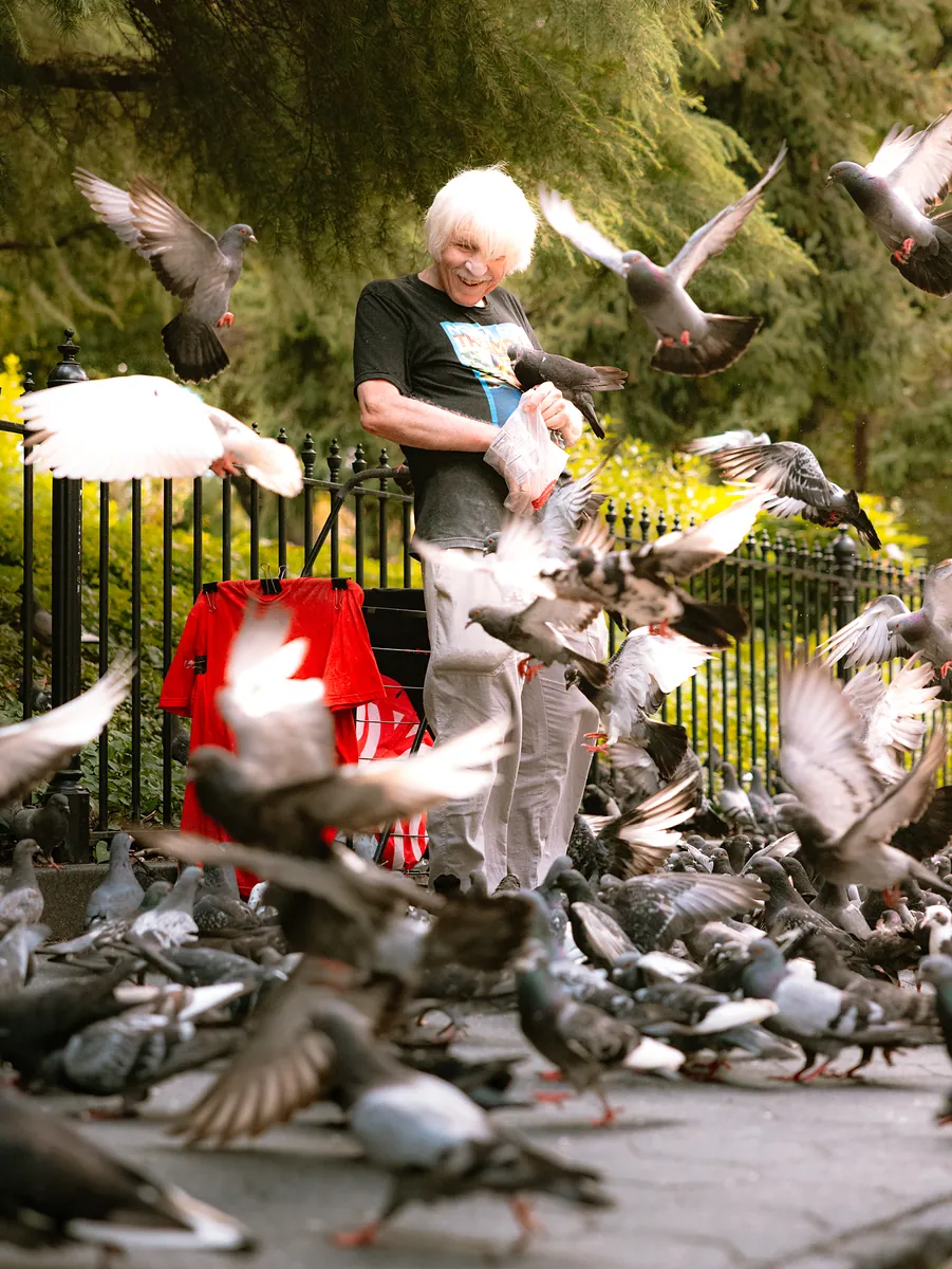 A white-haired man smiles as dozens of pigeons take off around him in a park.